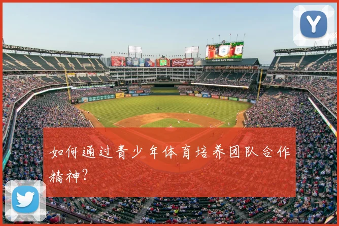 如何通过青少年体育培养团队合作精神?