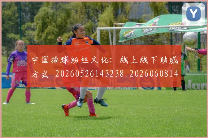 中国排球粉丝文化:线上线下助威方式_20260526143238_20260608142324