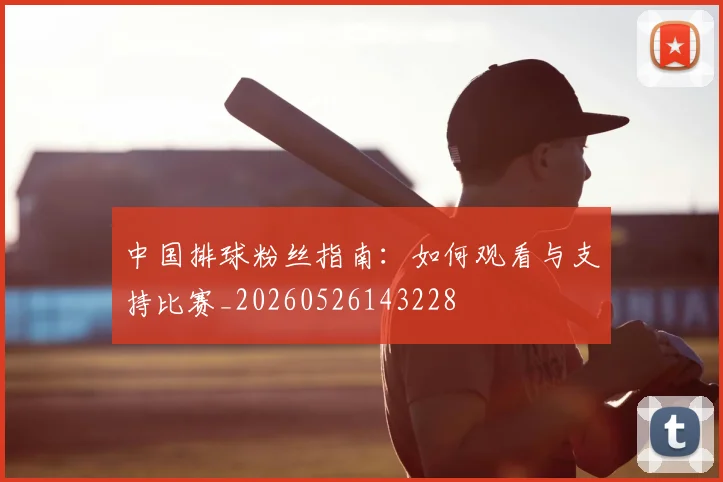 中国排球粉丝指南:如何观看与支持比赛_20260526143228
